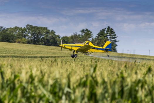 A crop duster applies chemicals to a field of vegetation.