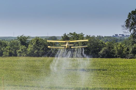 A crop duster applies chemicals to a field of vegetation.