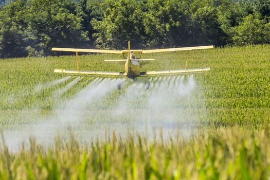 A crop duster applies chemicals to a field of vegetation.