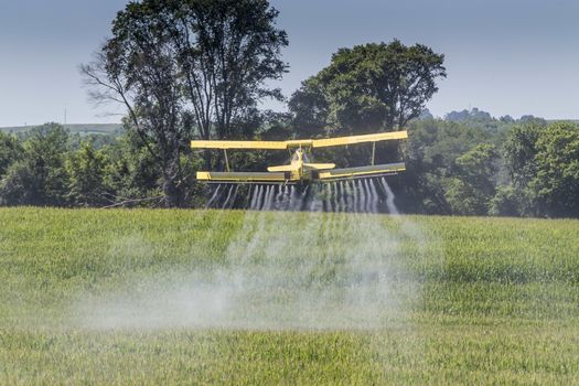 A crop duster applies chemicals to a field of vegetation.
