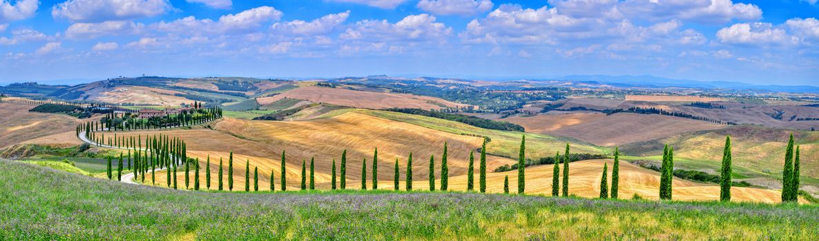 Tuscany, Italy - July 5, 2018: Cypress trees and meadow with typical tuscan house, Val d'Orcia, Italy - Tuscany