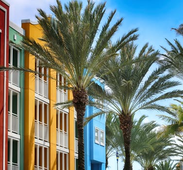 Beautiful palm trees in front of colorful buildings, Willemstad, Curacao