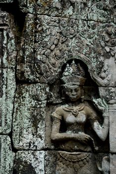 The Temple of  Ta Prohm in the Temple City of Angkor near the City of Siem Reap in the west of Cambodia.   Cambodia, Siem Reap, April 2014