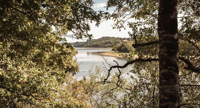 view of the Jaunay lake in Vendee France a summer day