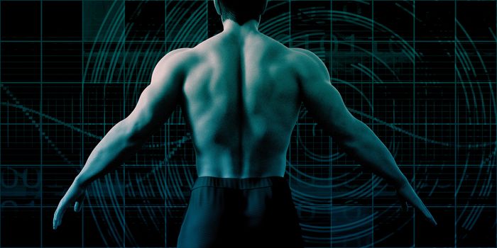 Human Body Presentation Background for Medical Anatomy Art