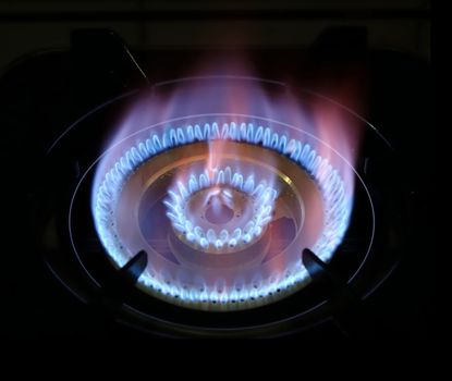 Blue flames from burning natural gas on a stove