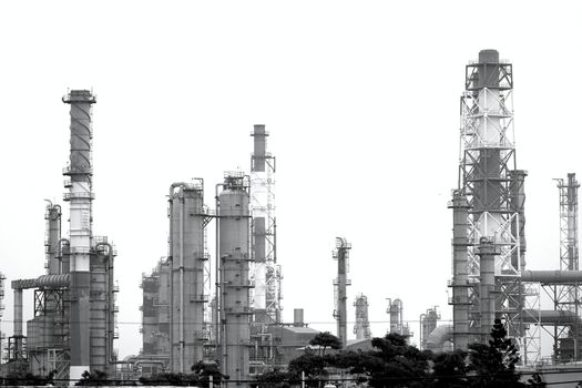 Large industrial plant for the petrochemical industry
