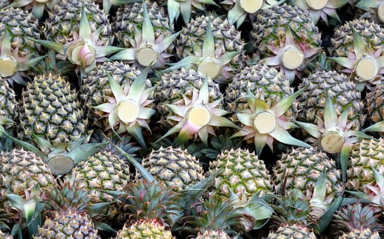 A pile of ripe pineapples for sale at the market in Taiwan