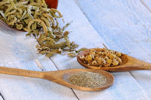 Chamomile and herbs on wooden table in the kitchen.