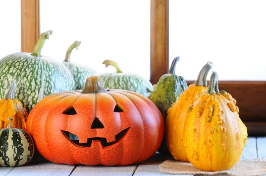 Halloween pumpkins on the table on the farm.