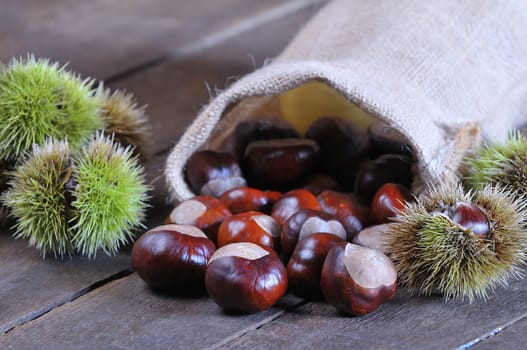 Chestnuts on wooden table in the kitchen.