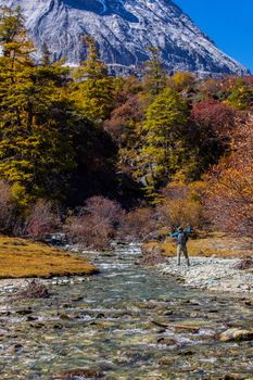 Colorful in autumn forest and snow mountain at Yading nature reserve, The last Shangri la