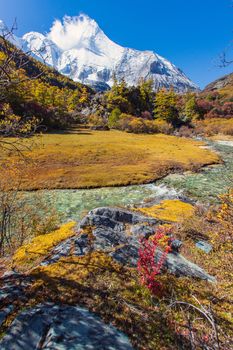 Colorful in autumn forest and snow mountain at Yading nature reserve, The last Shangri la