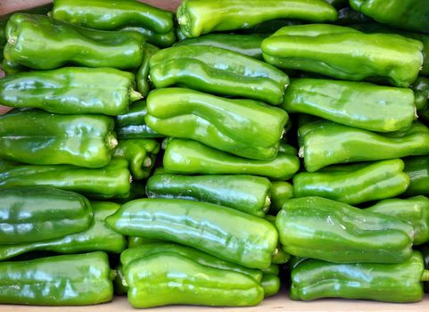 Bright green bell peppers for sale at the market