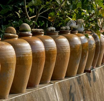 A row of large pickling jars on a garden wall