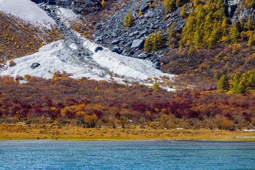 Colorful in autumn forest and snow mountain at Yading nature reserve, The last Shangri la