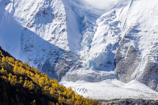 Colorful in autumn forest and snow mountain at Yading nature reserve, The last Shangri la