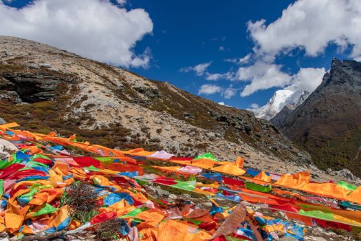 Colorful in autumn forest and snow mountain at Yading nature reserve, The last Shangri la