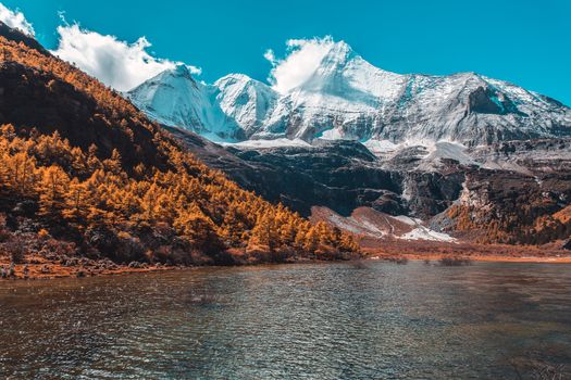 Colorful in autumn forest and snow mountain at Yading nature reserve, The last Shangri la