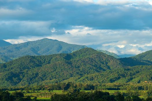 Beautiful summer landscape in the mountains with the sunset