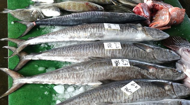 A stall at the fish market sells large Indo-Pacific King Mackerels, the fish steaks of which are a popular food in Taiwan.