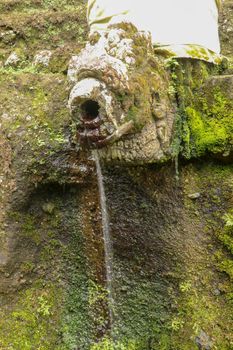 Gargoyles with holy water in the complex of royal tombs of the Udayan dynasty. Ancient royal tombs at Gunung Kawi Temple. Funeral complex centered around royal tombs carved into stone cliffs, Bali.
