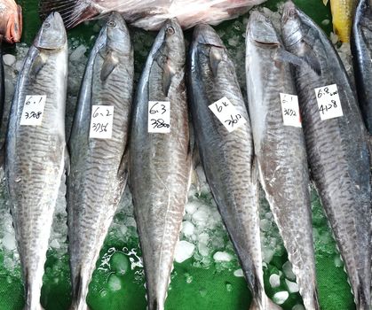 A stall at the fish market sells large Indo-Pacific King Mackerels, the fish steaks of which are a popular food in Taiwan.
