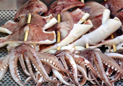 Squid on skewers is prepared to be grilled
