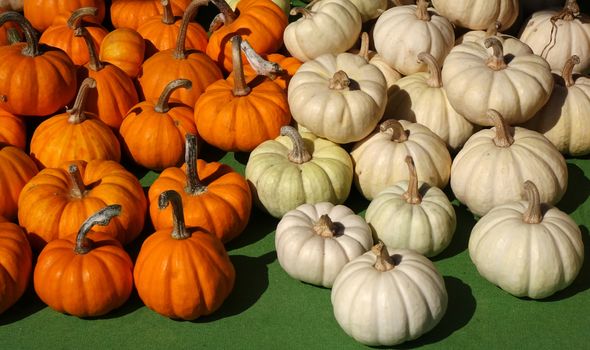 A market vendor sells orange and white winter squash
