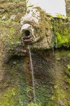 Gargoyles with holy water in the complex of royal tombs of the Udayan dynasty. Ancient royal tombs at Gunung Kawi Temple. Funeral complex centered around royal tombs carved into stone cliffs, Bali.