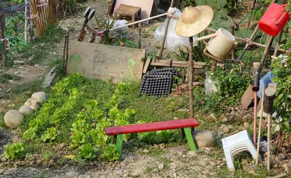 A small patch of gardening with vegetables in an urban setting
