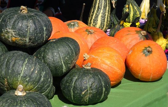 Green and orange pumpkins are sold at a farmer market

