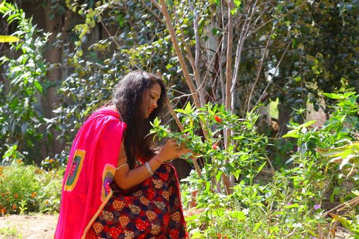 side view of A beautiful indian girl sitting in the garden looking at the red hibiscus flowers