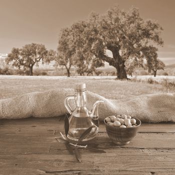 Olive oil on a table in the olive grove.