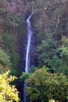 The rugged terrain of the Dajin waterfall in southern Taiwan