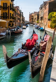 Gondolas moored in a Canal.