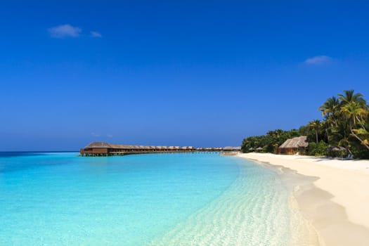 Tropical beach, Maldives. Paradisiacal view of turquoise waters.
