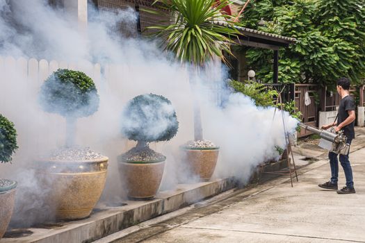 People fogging DDT spray for mosquito kill and protect by control mosquito is a carrier of Malaria, Encephalitis, Dengue and Zika virus in village.