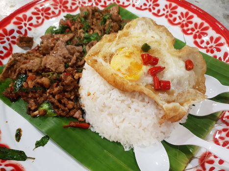 Rice topped with stir-fried pork or beef and basil for sale at Thai street food market or restaurant in Bangkok Thailand