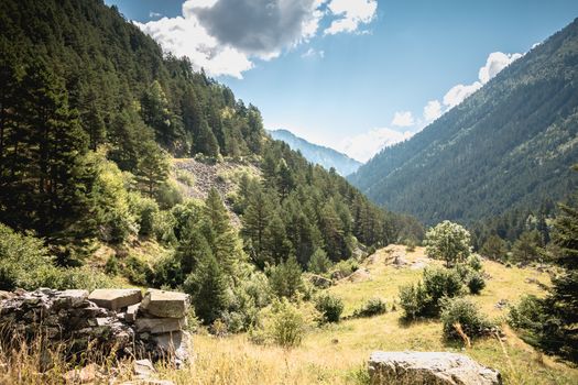 hiking path with trees and vegetation in the Pyrenees mountains in France