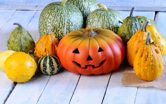 Halloween pumpkins on the table on the farm.