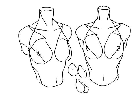 Tutorial of drawing a female body. Drawing the human body, step by step lessons. Female breast drawing tutorial. Drawing a woman's body with an emphasis on breasts.