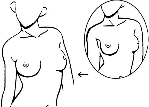 Tutorial of drawing a female body. Drawing the human body, step by step lessons. Female breast drawing tutorial. Drawing a woman's body with an emphasis on breasts.