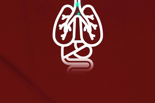 Lungs infected with coronavirus. Illustration of a person's lungs.