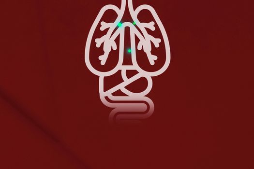 Lungs infected with coronavirus. Illustration of a person's lungs.