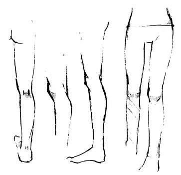 Women's legs. Tutorial of drawing a female body. Drawing the human body, step by step lessons.