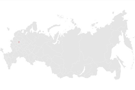 Russia map illustration. Map of Russia in gray on a white background.