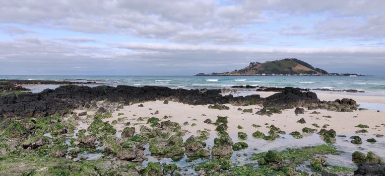 Volcanic rock on the shore of sand beach covered in green algae on Hyeopjae beach with mountain and cobalt blue sea in Jeju Island, South Korea