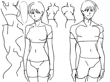 Tutorial of drawing a female body. Drawing the human body, step by step lessons.