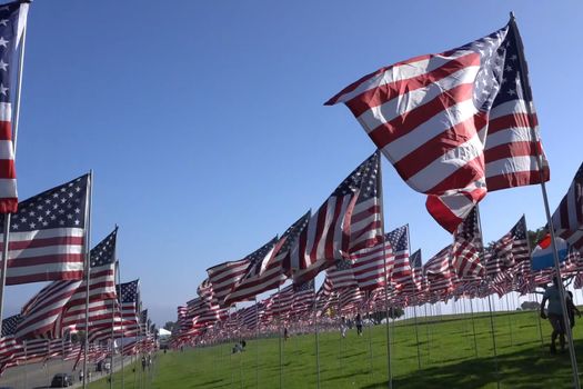 American flags on the lawn. Lots of American flags.